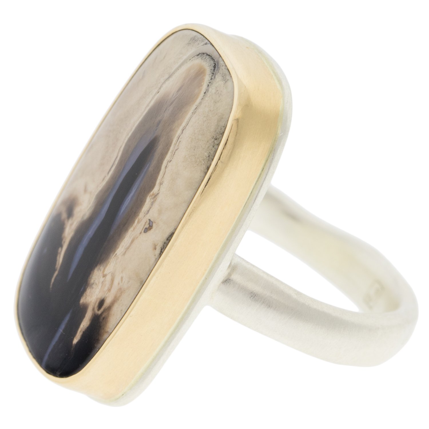 Jamie Joseph: SS & 14k gold ring with vertical rectangular smooth fossilized palm wood on organic band size 6.5
