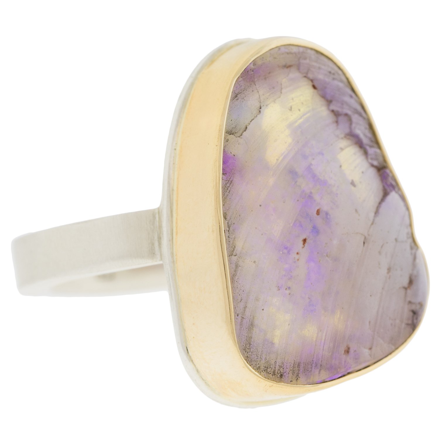 Jamie Joseph: Opalized clamshell
