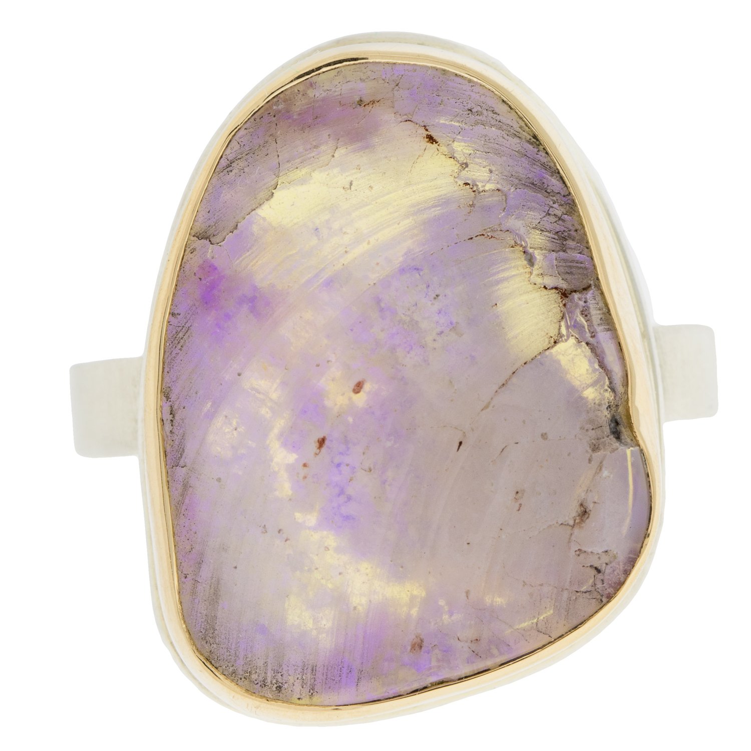 Jamie Joseph: Opalized clamshell