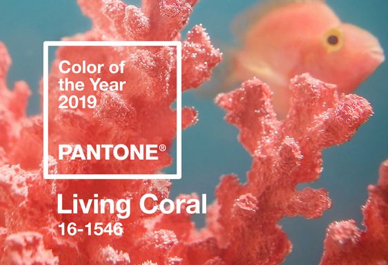 pantone 2019 color of the year living coral