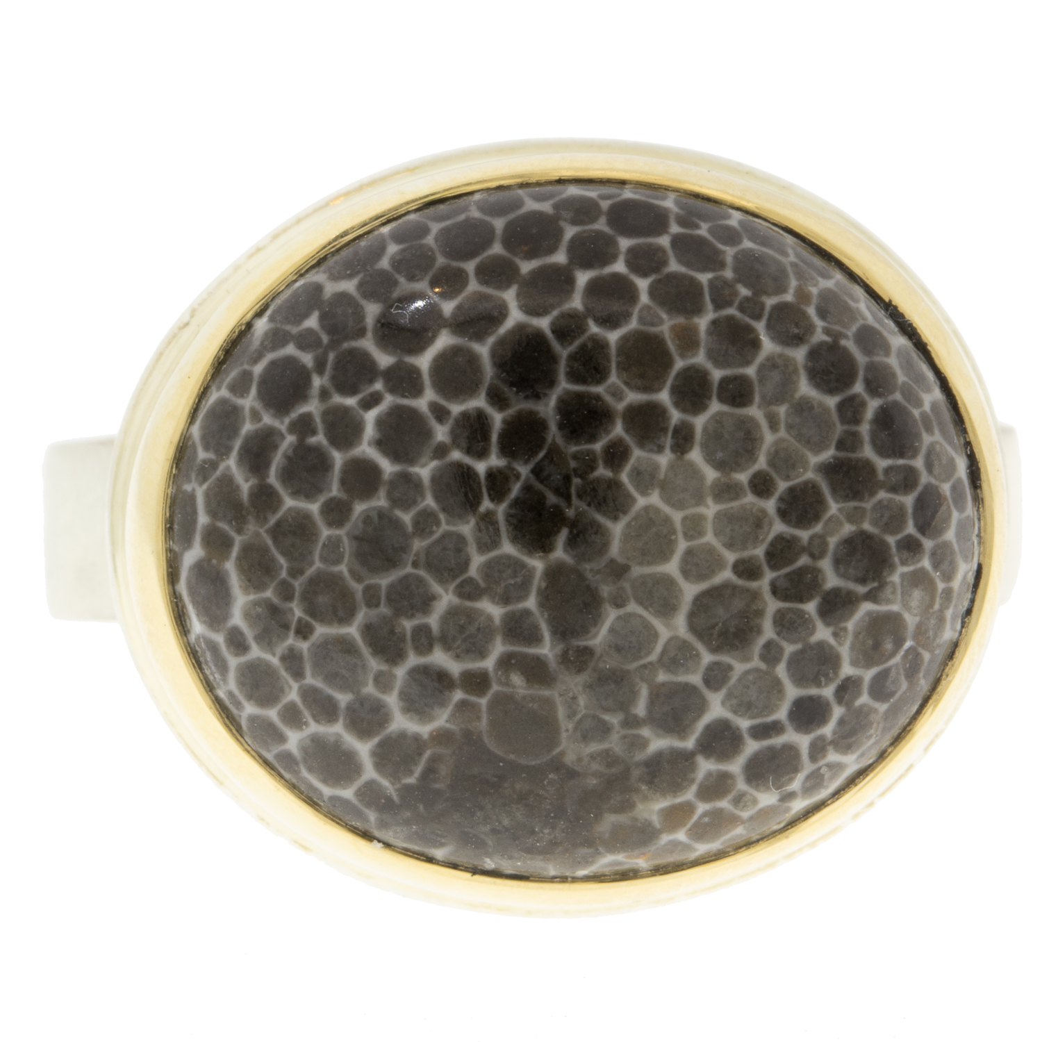 gold and silver ring with fossilized coral by jewelry designer Jamie Joseph