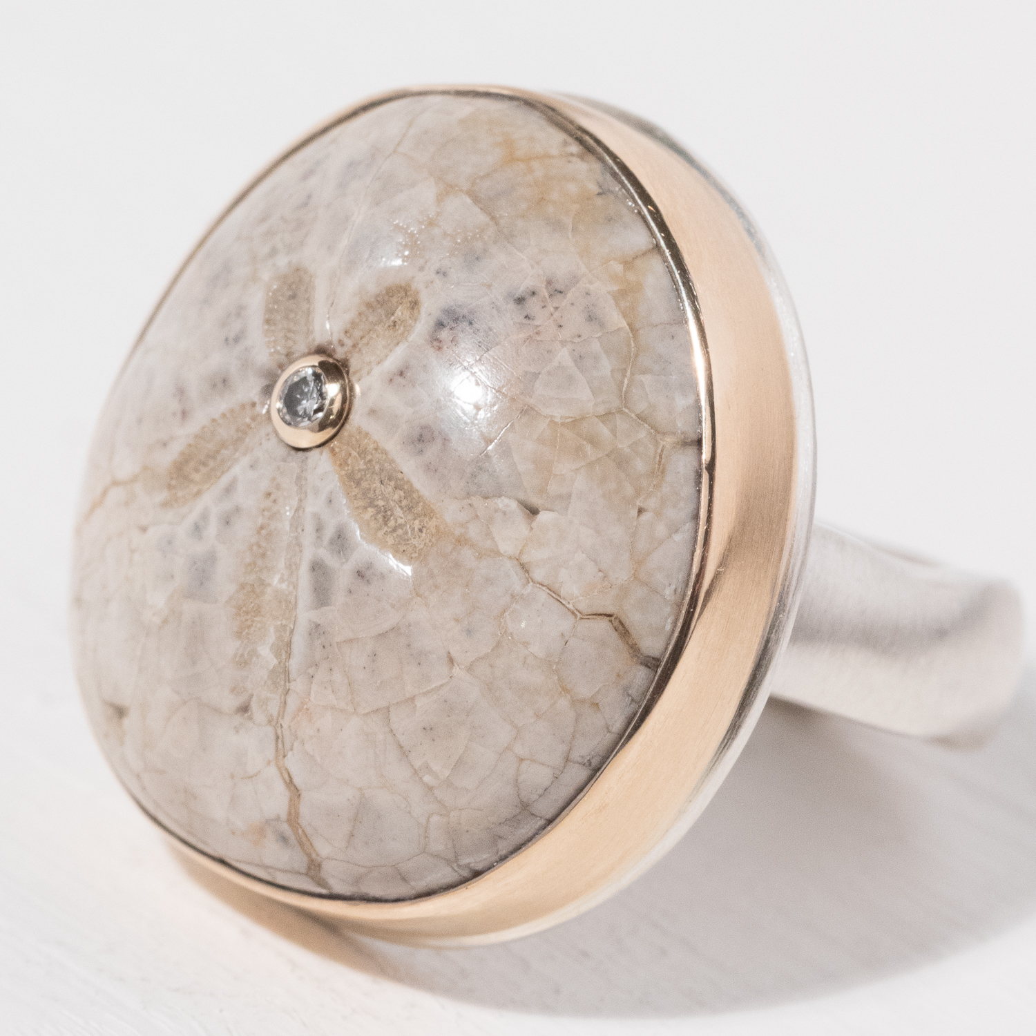 Jamie Joseph Trunk Show: Ring 39,Sea Urchin,8