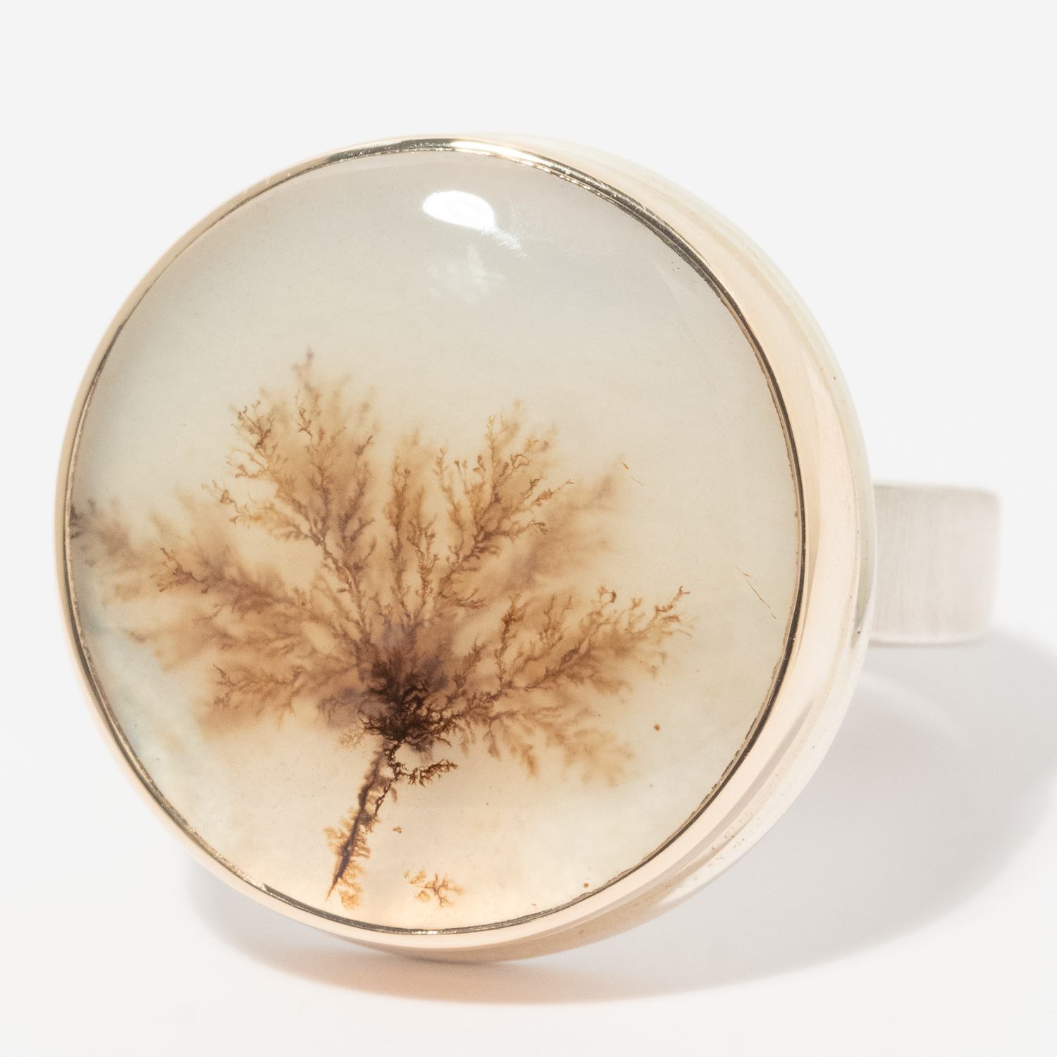 Jamie Joseph: Sterling & 14K Gold Ring w/ Round DENDRITIC AGATE on Y Band, Size 7 1/2, 3/4" in Diameter